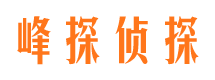 带岭市调查公司